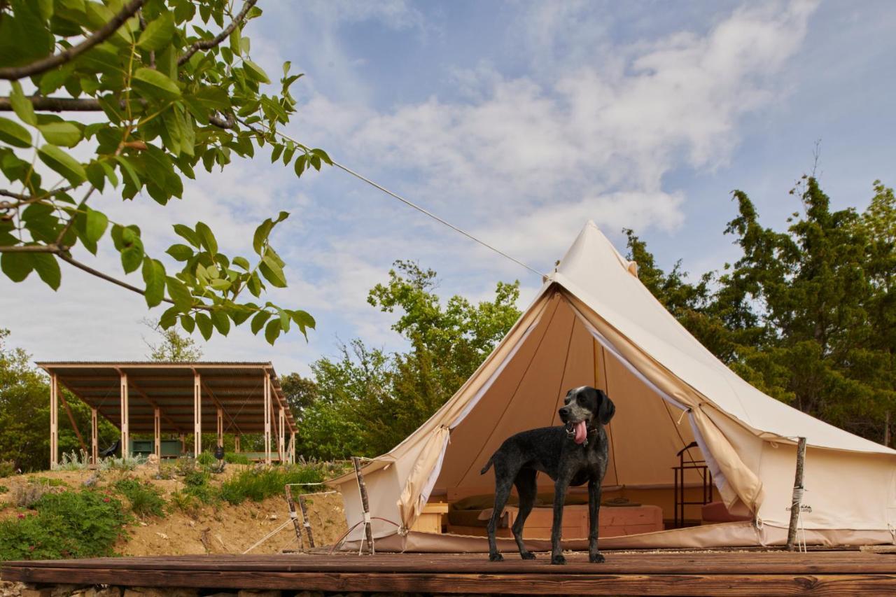 拉亚蒂科 Agricola Ombra - Tents In Nature酒店 外观 照片